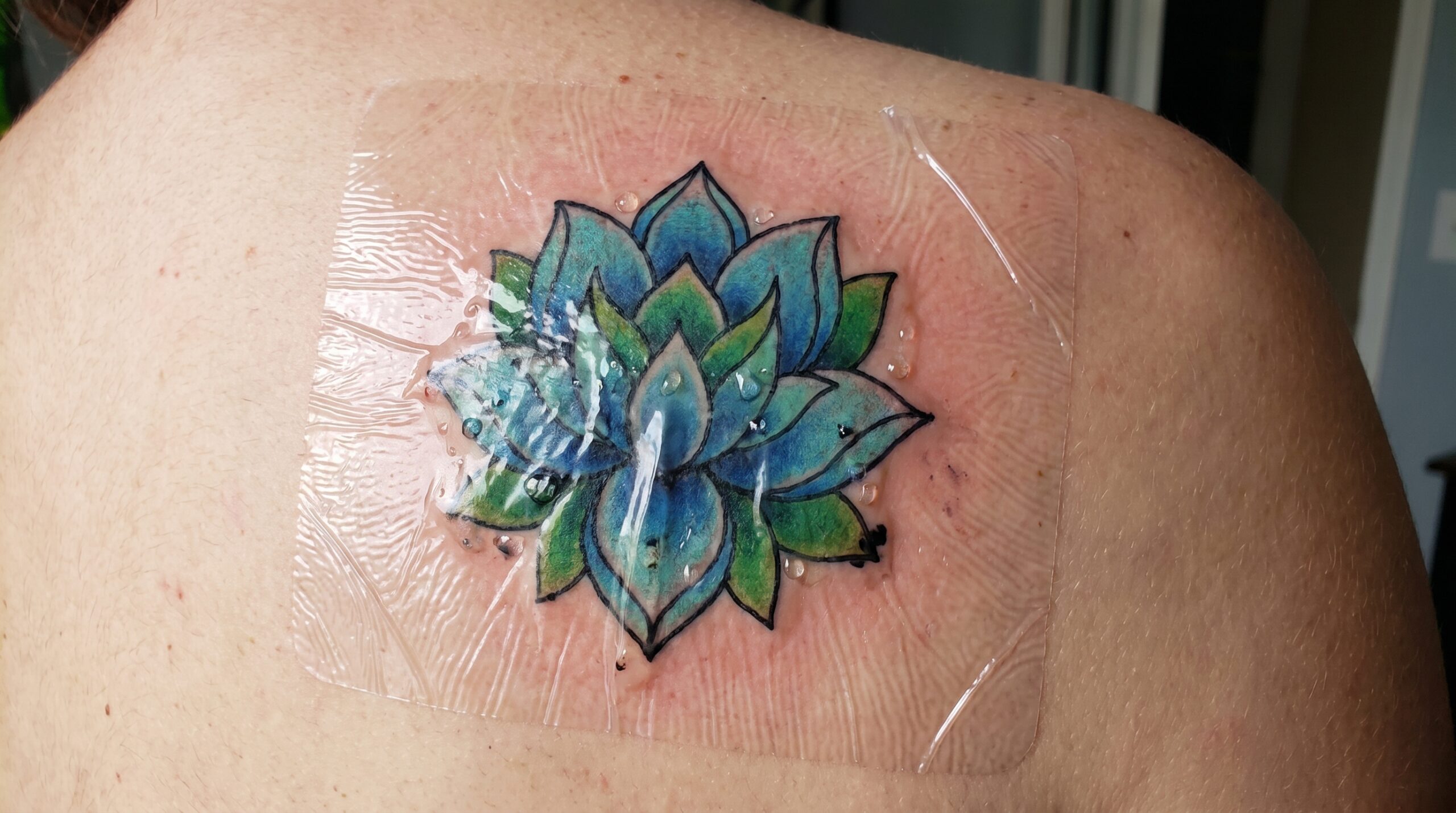 Fotografia ravvicinata di un tatuaggio fresco e vibrante su una spalla, coperto da una benda medica trasparente professionale "effetto seconda pelle". Si notano minuscole gocce di plasma e inchiostro in eccesso intrappolate sotto la pellicola. La pelle circostante è leggermente rosa e infiammata.